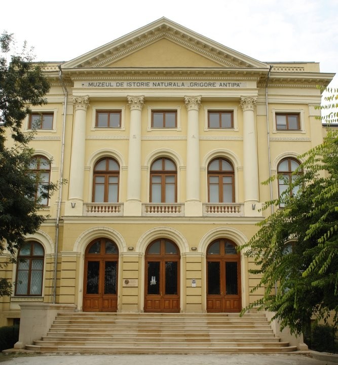 Muzeul National de Istorie Naturala „Grigore Antipa”