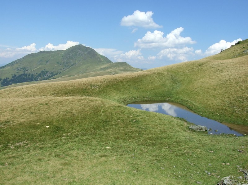 Varful Farcau - Lacul Vinderelu - Varful Mihailecu