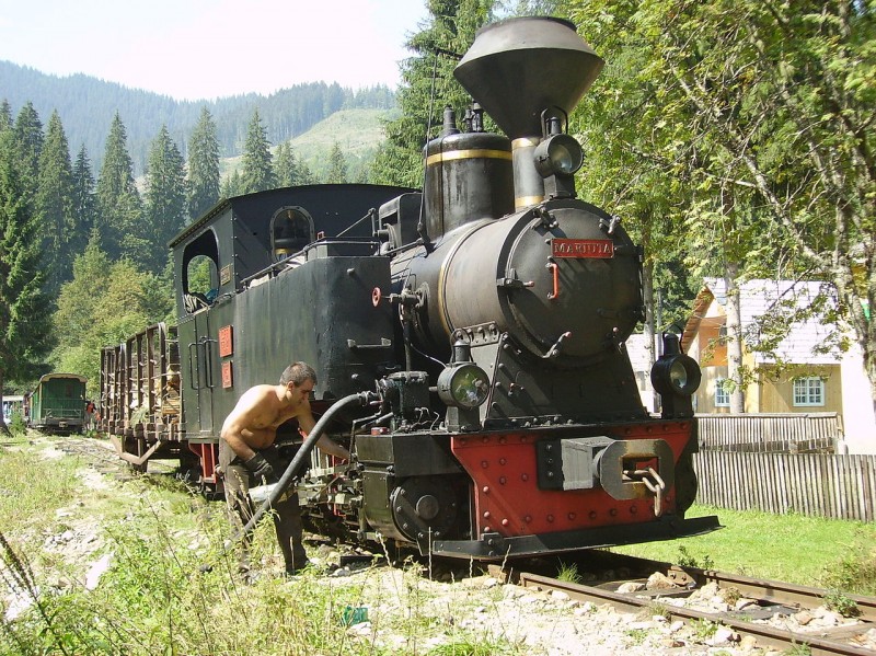 Mocanita de pe Valea Vaserului