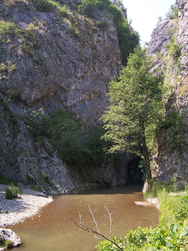 Rezervatia complexa Cheile si Pestera Topolnitei