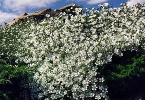Rezervatia naturala Cracul Crucii