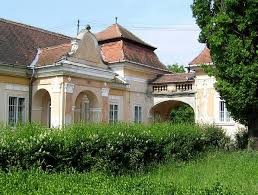 Castelul Teleki din Dumbravioara