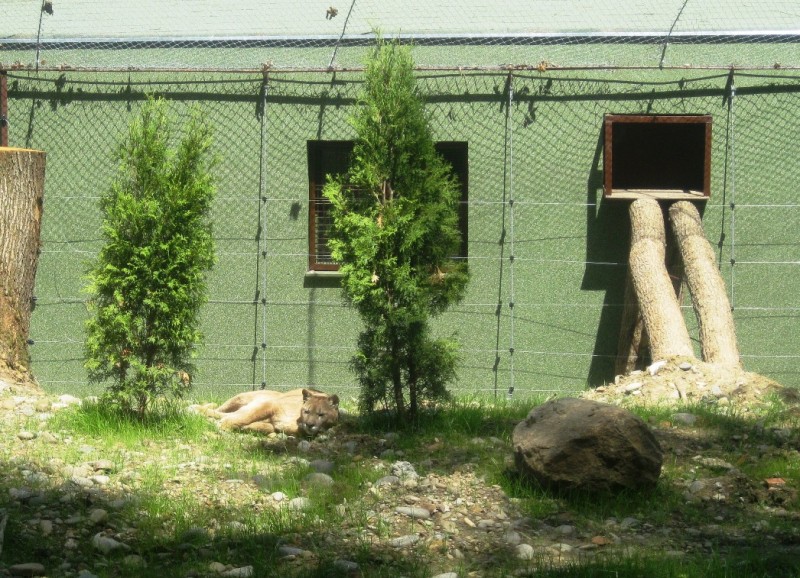 Gradina Zoologica Targu-Mures