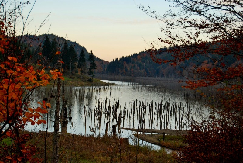Lacul Cuejdel