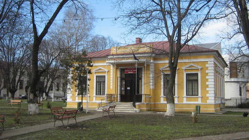 Muzeul de Arta din Roman