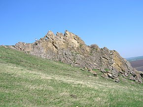 Stanca Serbesti