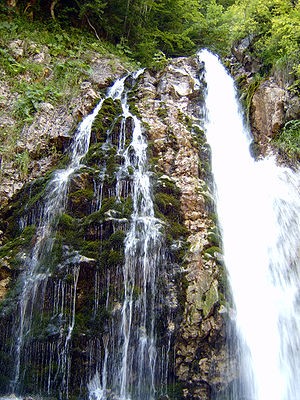 Cascada Urlatoarea