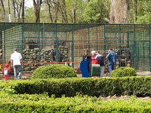 Gradina Zoologica Bucov