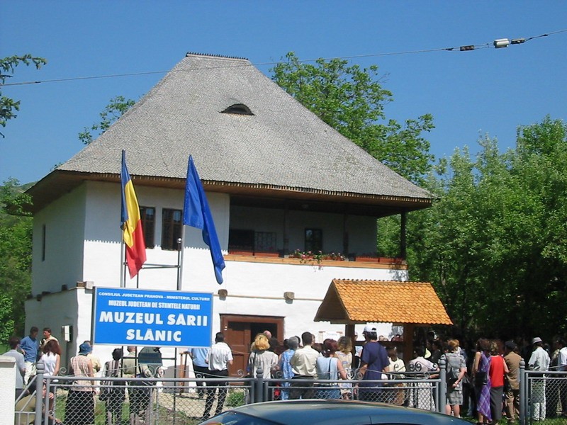 Muzeul Sarii
