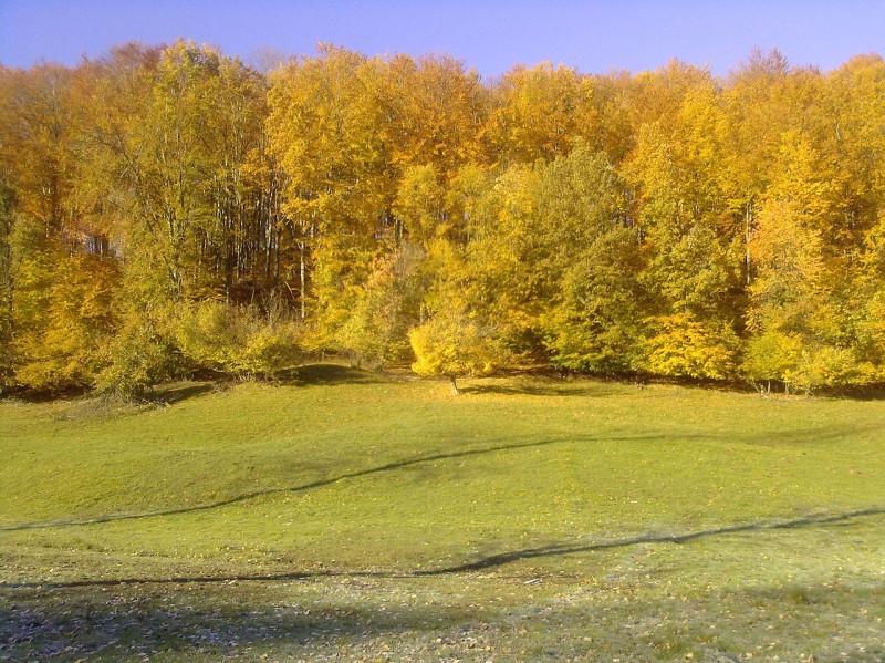 Varful Magura Priei