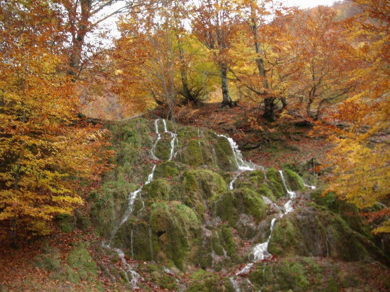 Rezervatia peisagistica Tusa-Barcau