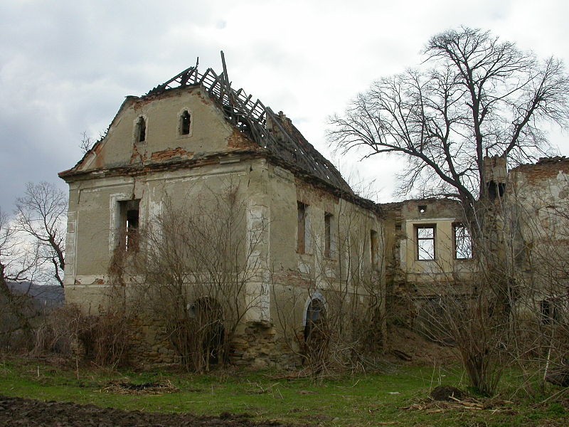 Castelul Bolyai din Buia