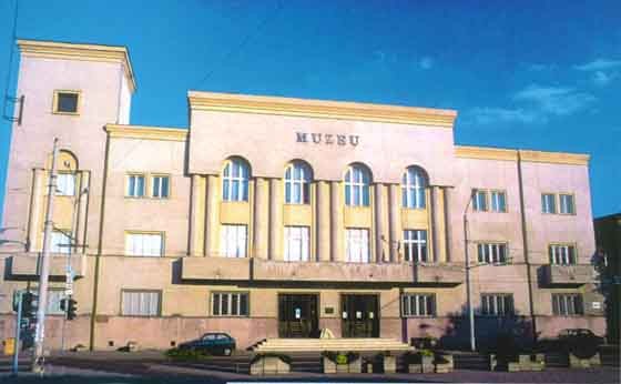 Muzeul judetean Satu Mare