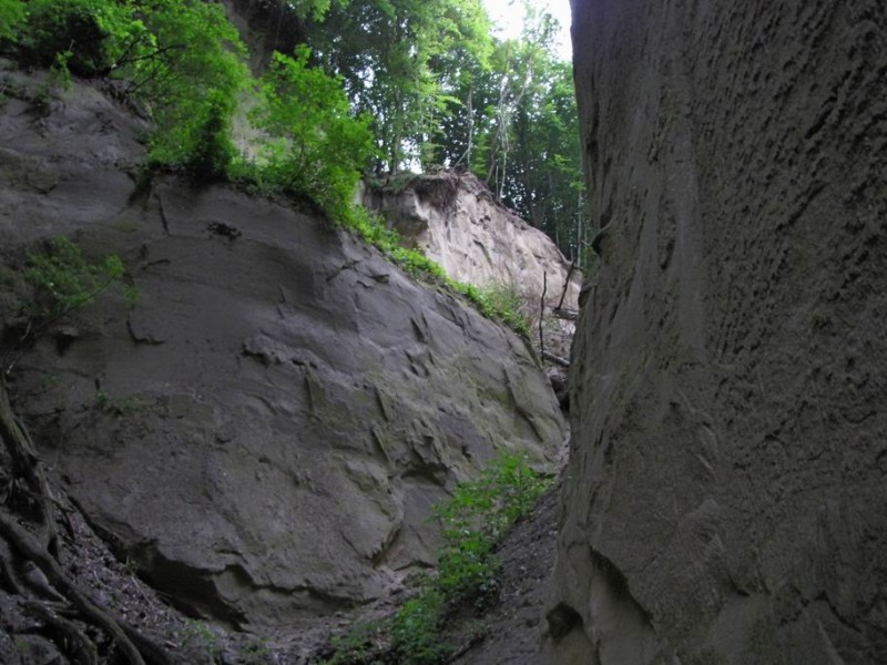 Canionul Mihaileni