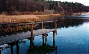 Parcul Natural Dumbrava Sibiului
