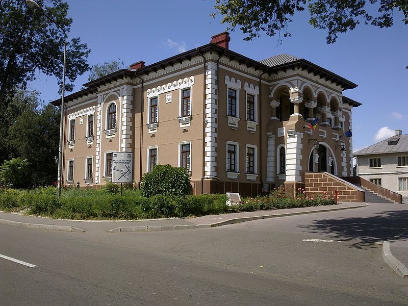 Muzeul de Arta „Ion Irimescu”