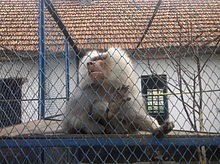 Parcul Zoologic din Radauti
