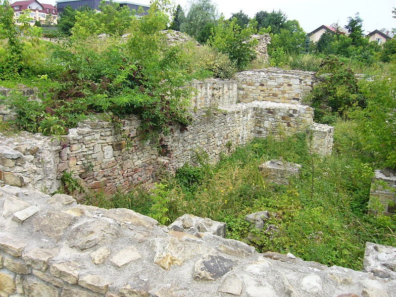 Palatul domnesc (Curtea Domneasca)