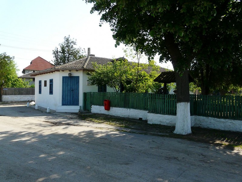 Casa Memoriala \"Panait Cerna\"
