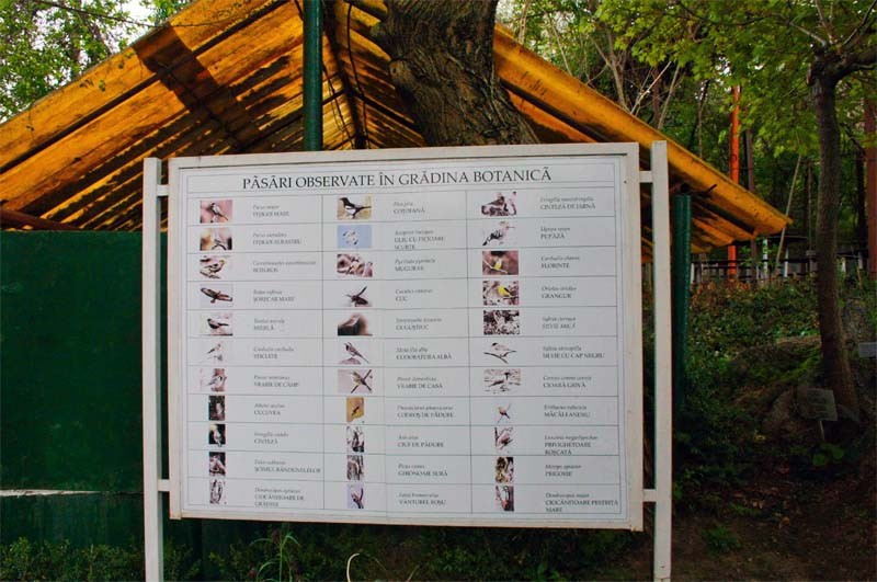 Gradina Botanica a Palatului Copiilor din Tulcea
