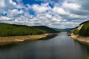 Lacul Vidra