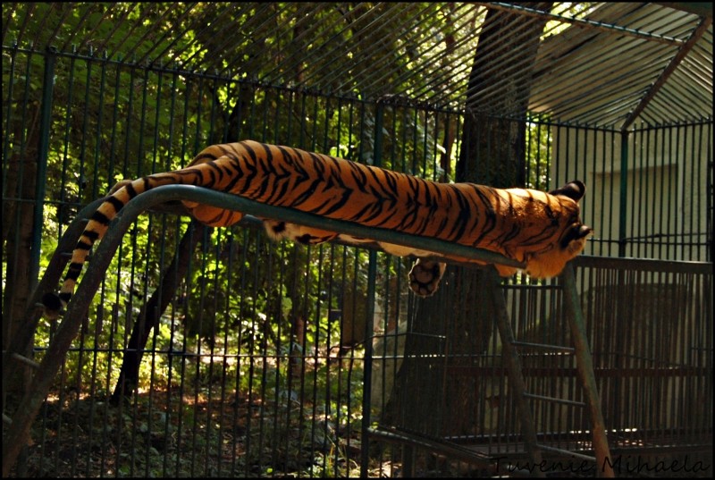 Gradina Zoologica Barlad
