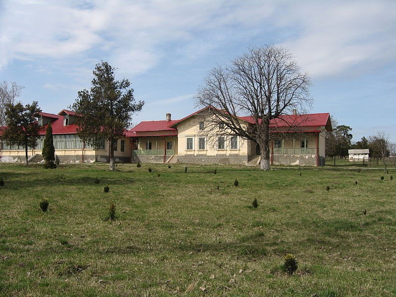 Casa Memoriala \"Emil Racovita\"
