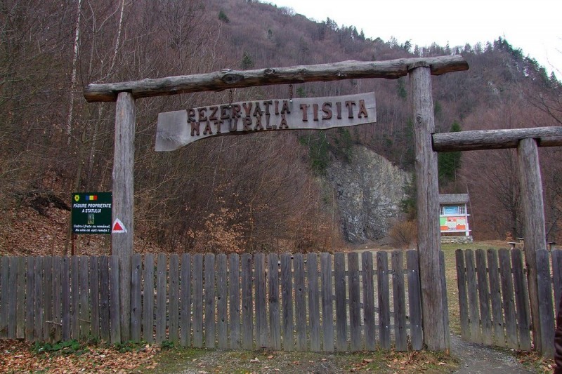 Rezervatia naturala Valea Tisitei