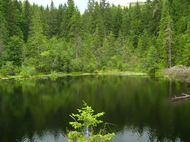 Lacul Negru - Cheile Narujei I